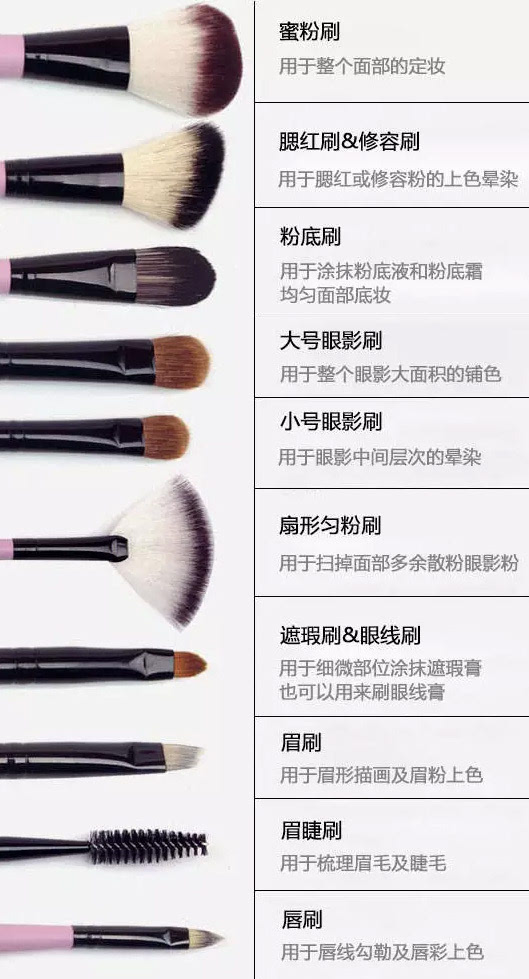 花季传媒APP下载网站名称大全